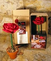 Red Rose Boxed Topiary Flower Pen