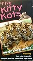 The Kitty Kats: Itty Bitty Kiddy Wildlife