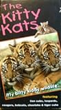 The Kitty Kats: Itty Bitty Kiddy Wildlife