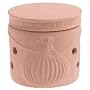 Reco Nature's Oven Clay Garlic Keeper