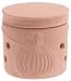 Reco Nature's Oven Clay Garlic Keeper