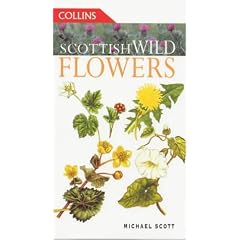 Scottish Wild Flowers (Collins Guides)