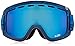 Dragon Alliance D1 Ski Goggles