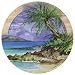 Palm Island Sandstone Thirstystone Coasters