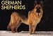 German Shepherds (For the Love of)