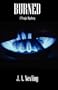 Burned: A Tragic Mystery