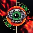 String Tribute to Tool