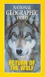 National Geographic Video - The Return Of The Wolf
