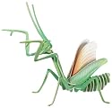 Praying Mantis 3D Wooden Model