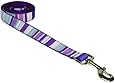 Sassy Dog Wear 6-Feet Purple/Multi Stripe Dog Leash, Large