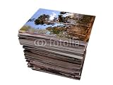 Wallmonkeys Peel and Stick Wall Decals - Photos - Removable Graphic