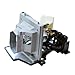 Optoma Replacement Projector Lamp for DS305, DS305R, DX605, DX605R, EP716, EP7161, EP7169, EP716MX, EP716P, EP716R, EP719, EP7190, EP7199, EP719P, EP719R, EZPRO716, EZPRO719, TS400, TX700, with Housing