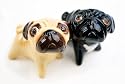 Pug Handmade Salt and Pepper Shaker (8cm x 8cm)