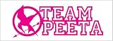 Hunger Games Team Peeta Mocking Jay Sticker Decal. Pink
