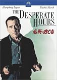 必死の逃亡者