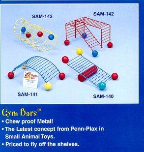 S A M Gym Bars Arch 4