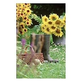 Wellington Boots in the garden with sunflowers in the background