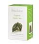 Revolution Tea Tropical Green Tea, 16-Count Teabags (Pack of 6)