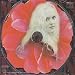 Liv Kristine-very limited shape disc
