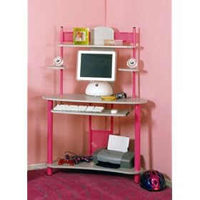 The Bug Computer Desk In Pink Finish By Studio RTA by Studio RTA