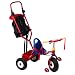Radio Flyer: Ultimate Family Trike