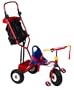 Radio Flyer: Ultimate Family Trike