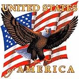 Usa-Eagle Flying/Flag Adult T-Shirt