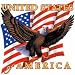 Usa-Eagle Flying/Flag Adult T-Shirt