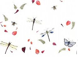 Dragonfly Garden - Fresh, Original Design on a Pure Cotton Kitchen Towel
