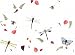Dragonfly Garden - Fresh, Original Design on a Pure Cotton Kitchen Towel