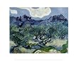 Landscape with Olive Trees Art Poster Print by Vincent van Gogh, 14x11