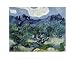 Landscape with Olive Trees Art Poster Print by Vincent van Gogh, 14x11