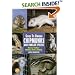 Guide to Owning Chipmunks and Similar Species: Housing, Feeding, Handling, Health, Breeding (Ww-515)