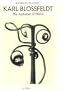 Karl Blossfeldt: The Alphabet of Plants (Masters of the Camera)