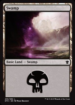 Magic: the Gathering - Swamp (256/264) - Dragons of Tarkir - Foil
