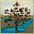 Click here to buy The Confluence by  David Berkeley .