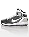 Nike Men's NIKE AIR MAX HYPERDUNK 2010 TB BASKETBALL SHOES