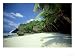 Coconut Grove, Dolly Beach Christmas Island, Indian Ocean Photographic Poster Print by Jan Aldenhoven, 16x12