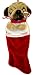 THE DOG Artlist - Pug - Plush Stocking