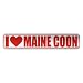 maine coon - 