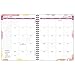 AT-A-GLANCE Monthly Planner 2017, Watercolors, 6-7/8 x 8-3/4 Inches (791-800G)