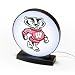 NCAA Wisconsin Badgers USB Powered LED Logo Light