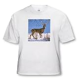 Wild animals - White Tailed Deer - T-Shirts