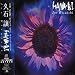 Best Modern Asian Piano and Orchestra - Joe Hisaishi
