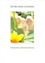 The Fairy Garden Documentary ~ By Princess Ena  A Princess Book Collection ( Fairies Angels Angel Gnome Gnomes Elf Elves Pixie Pixy Sprite Myth Mythology )