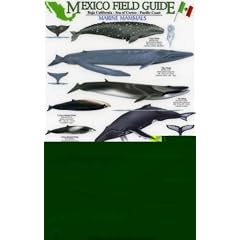 Marine Mammals: Baja California - Sea of Cortez - Pacific Coast (Mexico Field Guides)