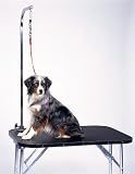 Essential Pet 500-48P 24 W x 48 L x 30 H Grooming Table with Arm
