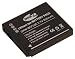 Inov8 B1344 Replacement Digital Camera Battery for Panasonic DMW-BCF10