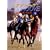 �G�A�O���[�� �Ӓn�ƌւ�̏��� [DVD]