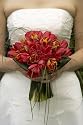 Throw a Dream Wedding on a Shoestring Budget (Dream Wedding on a Budget)